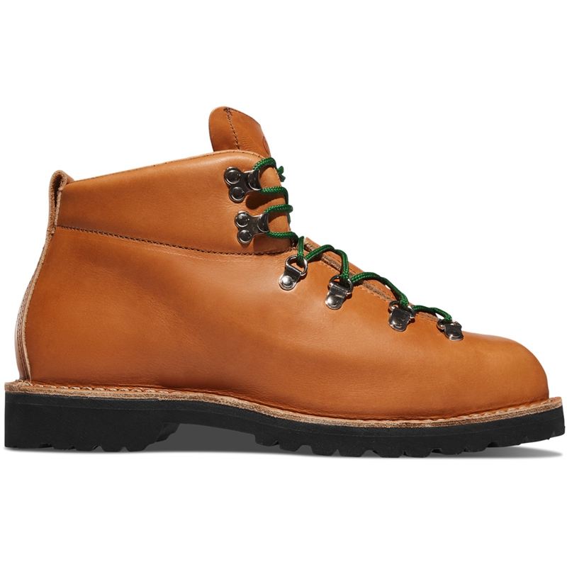 Brown Men's Danner Mountain Trail Work Boots | 09564-YNOH