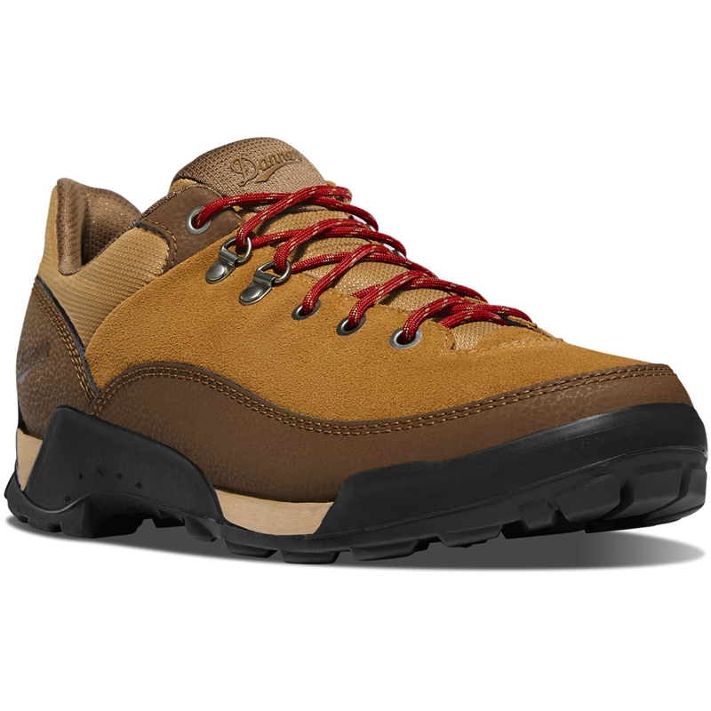 Brown / Red Men's Danner Panorama Low Hiking Boots | 47590-BEVR